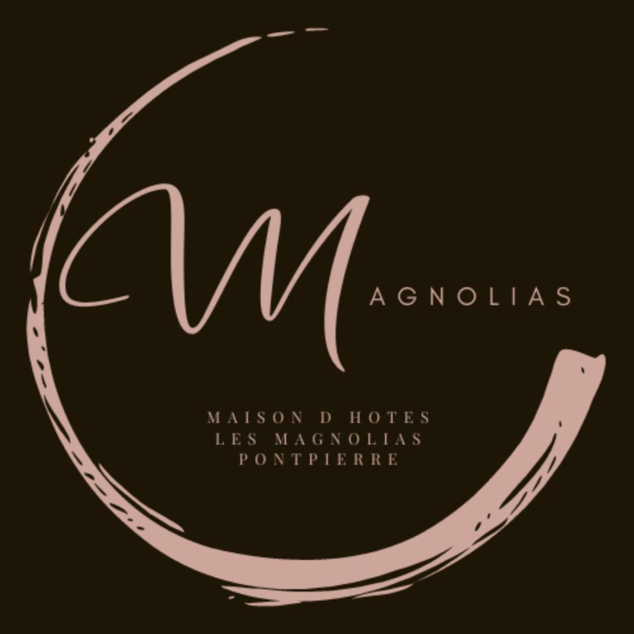 Chambre D'Hotes Les Magnolias Pontpierre Экстерьер фото