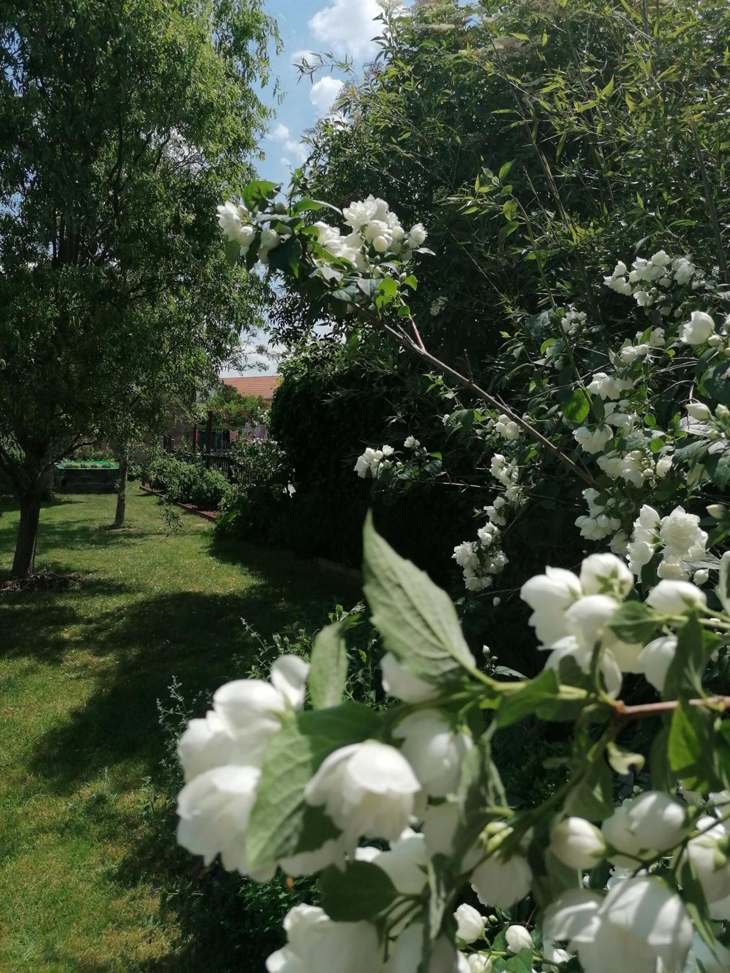 Chambre D'Hotes Les Magnolias Pontpierre Экстерьер фото